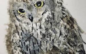 何かを見ているサバクコノハズク - レオ