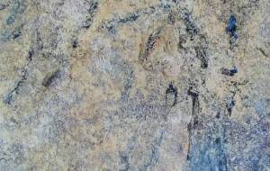 さくら - 久保田 俊