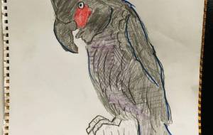 ヤシオウム - 真心