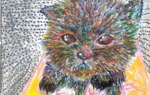 黒い仔猫 - おおた まめ