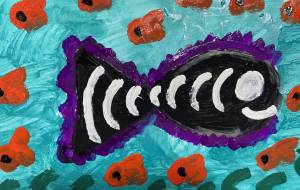 美しい海の生き物 - 笹谷正博