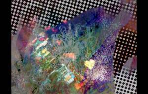 しょもの住むセカイ - しょも