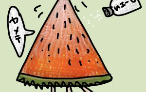 塩を嫌がるスイカ - 空叶論