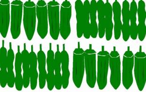 オクラとししとう - 菅原たんぽぽ