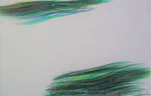 のびやかに - 錦見みゆき