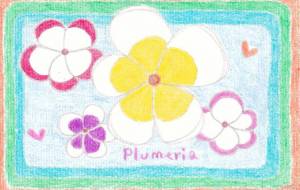 ハッピーなプルメリアの花 1 - Asami