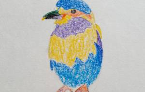 カラフルな鳥 - mAki