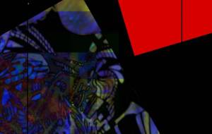 こいこい - しょも