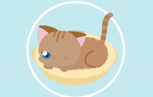 なべねこちゃん - 新藤あみ