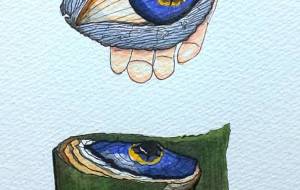 青目貝の軍艦巻き - 中司