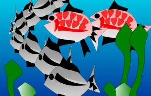 マグロの大群と産卵した魚 - 菅原たんぽぽ