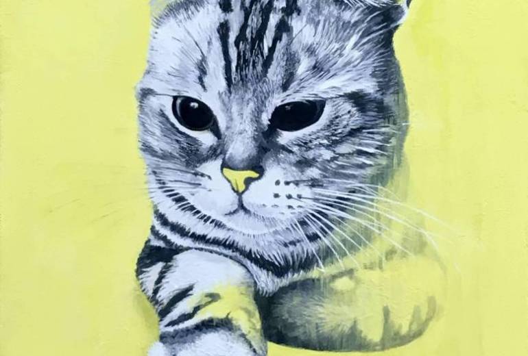 Cat (yellow)