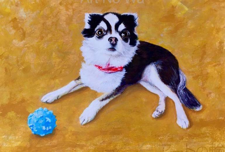 Chihuahua (blue ball)