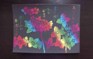 あづさゐの青き眼にむむなるや雷きふに耳近うとや - 明紅葉