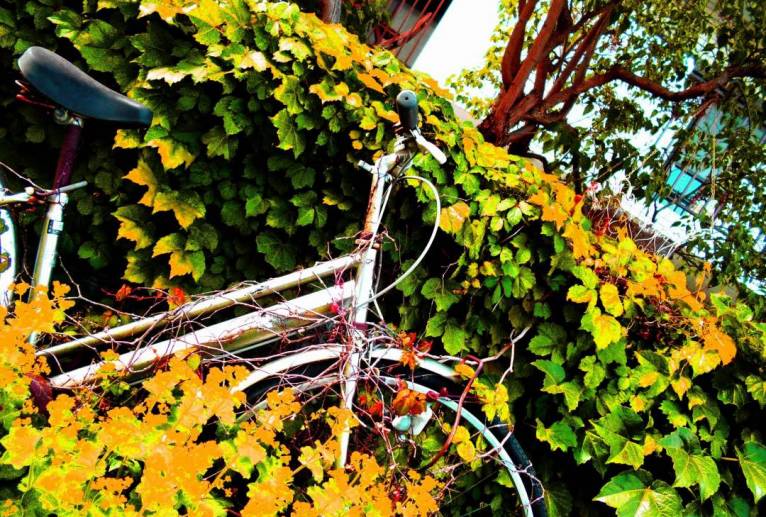 Bicycle plants - 【イベント】VAIABLEアートNFT 