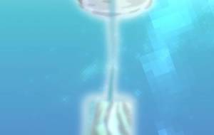 涼しい音 自然と文化 - 【イベント】VAIABLEアートNFT