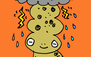 アマガエル - 空叶論