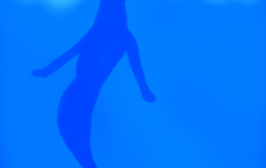 湖の人魚姫 自然と文化 - 【イベント】VAIABLEアートNFT