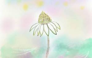 花は咲く - とん
