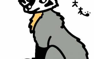 オオミミギツネ○自然と文化 - 【イベント】VAIABLEアートNFT