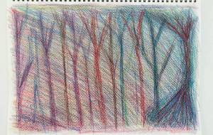 宵闇の森 - 中原涼