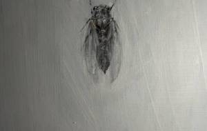 ヒグラシ悲しく鳴く、母さんを - 真鍋哲地