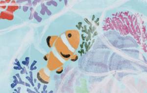 珊瑚礁と海 自然と文化 - 【イベント】VAIABLEアートNFT