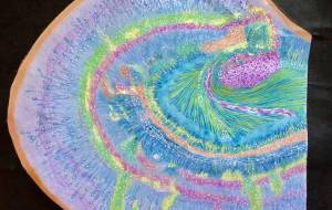 Hippocampus 〇生活と人権/ 3.健康と福祉:病気 - 【イベント】VAIABLEアートNFT