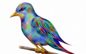 青い小鳥 - 田寺 誠人