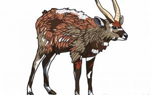 シタツンガ - YU