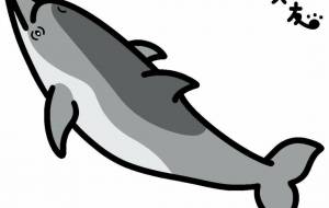 ハンドウイルカ○自然と文化 - 【イベント】VAIABLEアートNFT