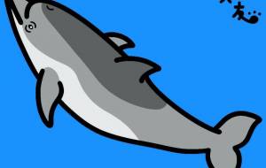 ハンドウイルカ○自然と文化 - 【イベント】VAIABLEアートNFT