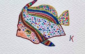 ハタタテダイ - 星きらり