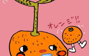 オレンジ!! - 空叶論