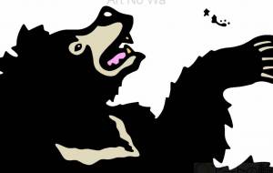 インドナマケグマ - シマハイエナ