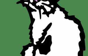 ジャパニーズ - シマハイエナ