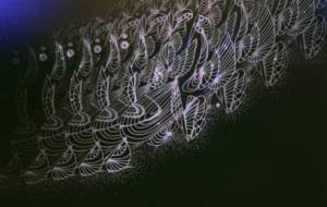 アート星 - しょも