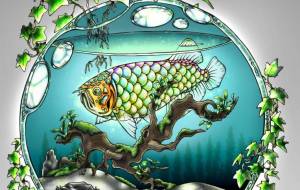 アロワナ - とりちゃん。