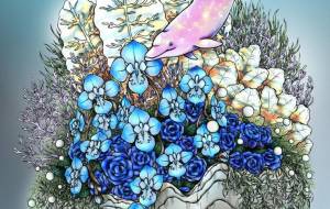 胡蝶蘭とイルカ - とりちゃん。