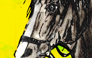 朝焼けに馬 - 小林由樹