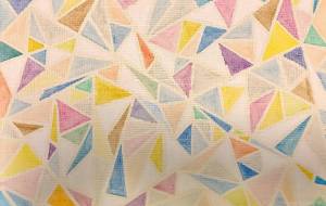 才能のカケラたちが可能性を創り出す - MIRI