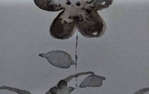 花と草むら - ぴぴ