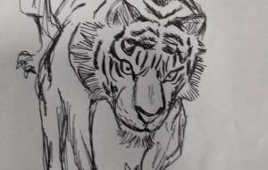 虎 - おかず