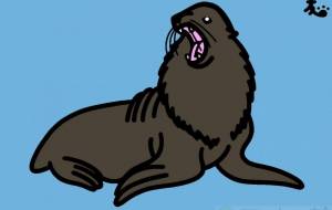 キタオットセイ○自然と文化 - 【イベント】VAIABLEアートNFT