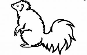 シマスカンク(アルビノ)○自然と文化 - 【イベント】VAIABLEアートNFT