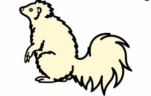 シマスカンク(アルビノ)○自然と文化 - 【イベント】VAIABLEアートNFT