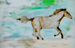 爽快に走る - 小林由樹