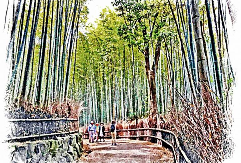 京都嵐山「竹林の小径」にて
