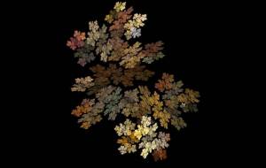 秋の絵の輝き02 - 太陽