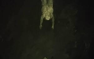 見せ物恥じさらし - 真鍋哲地